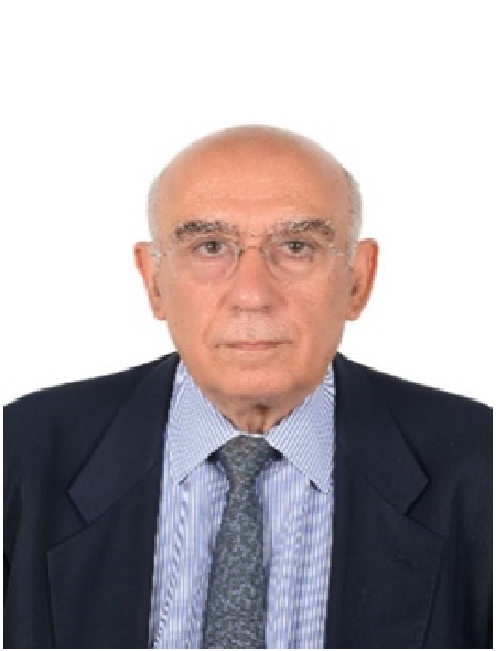 <h4>Rallis Dimitrios</h4> Deputy Secretary General of BSEC PERMIS